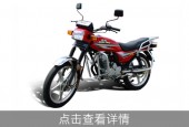 E 普通二轮摩托车